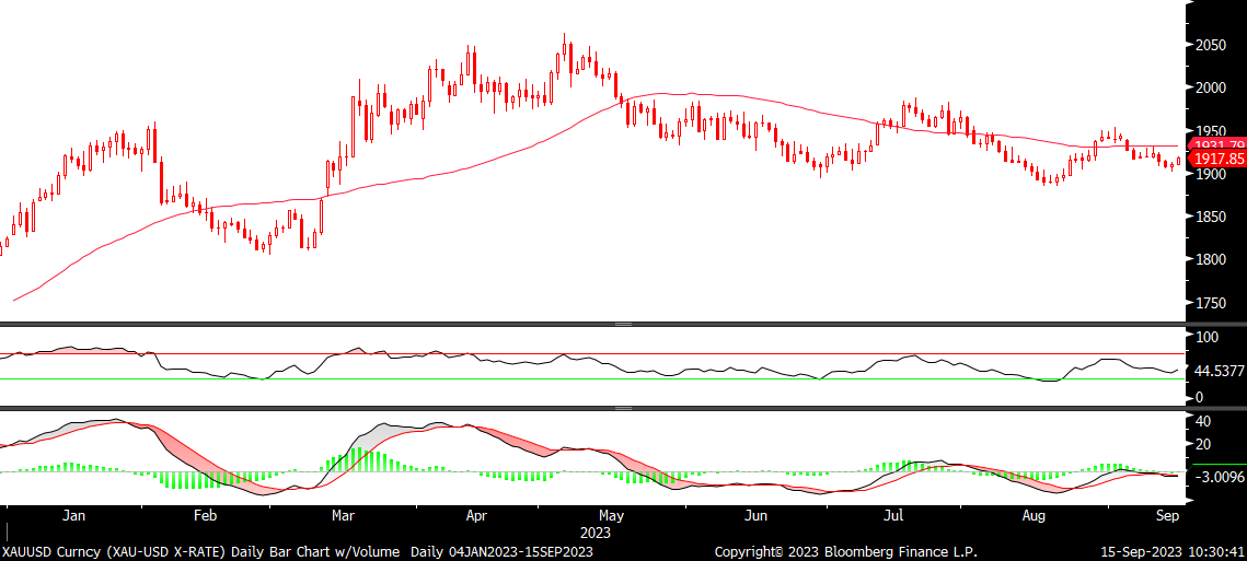 Fx analizi