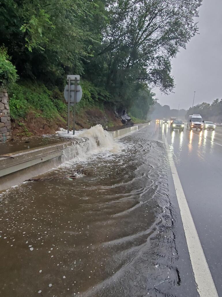 Bir deniz aslanı, Central Park’taki su baskınında kaçtı