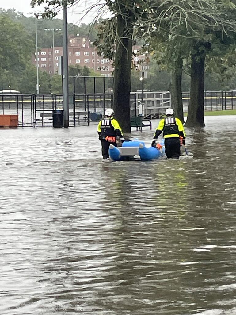 Bir deniz aslanı, Central Park’taki su baskınında kaçtı