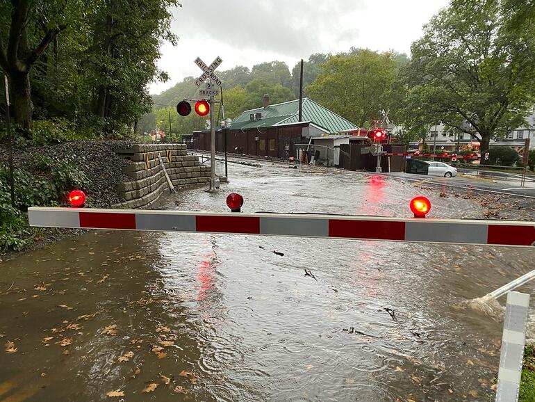 Bir deniz aslanı, Central Park’taki su baskınında kaçtı