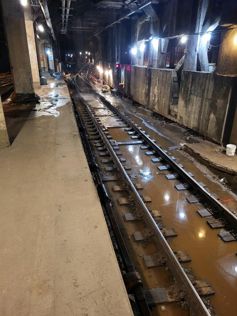 Bir deniz aslanı, Central Park’taki su baskınında kaçtı