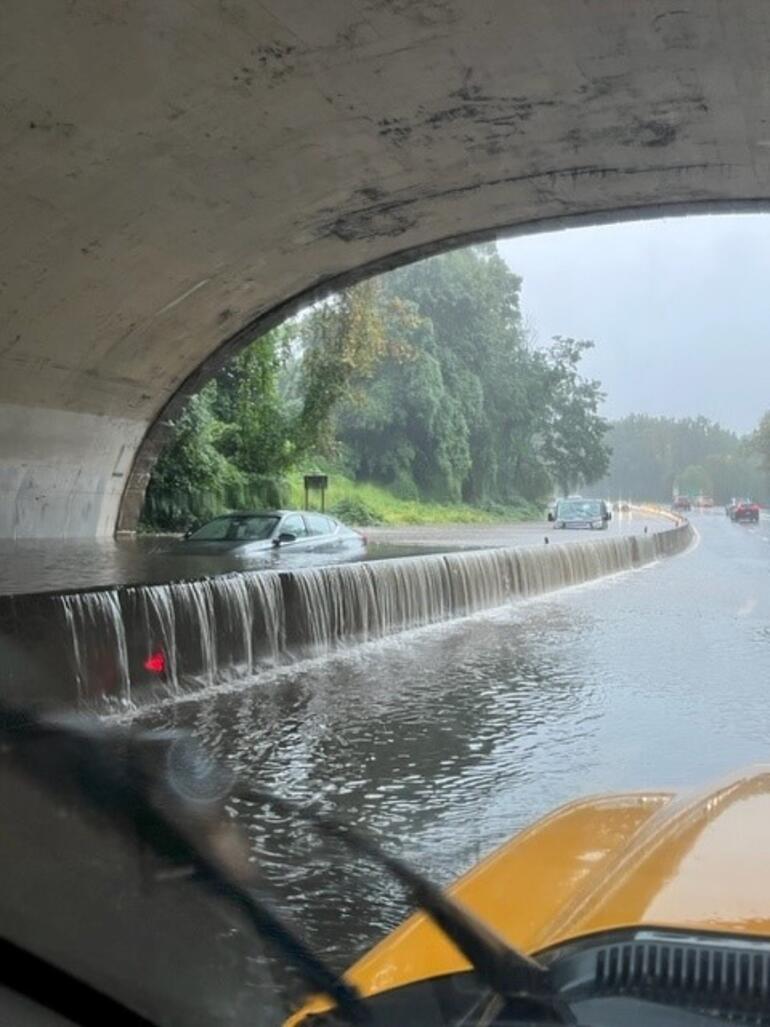 Bir deniz aslanı, Central Park’taki su baskınında kaçtı