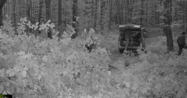 Ormanlık alanda kaçak kesim yapan 3 kişi, fotokapana yakalandı