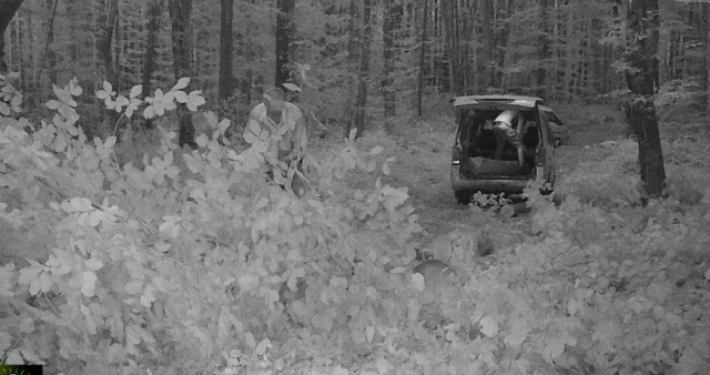 Ormanlık alanda kaçak kesim yapan 3 kişi, fotokapana yakalandı