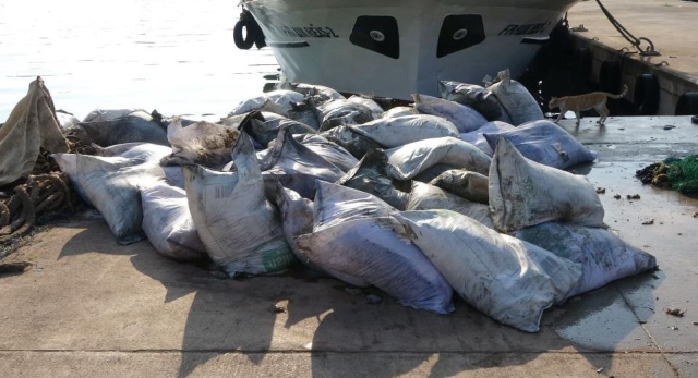 Balıkçılar şaşkın! Denizden balık yerine 3 ton pirinç çıkardılar