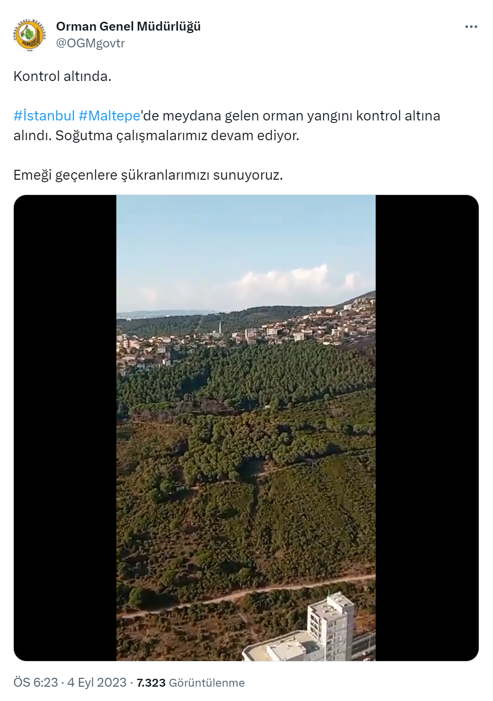 İstanbul Maltepe’deki orman yangını kontrol altına alındı