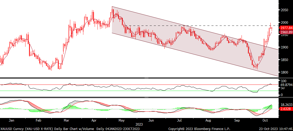 Fx analizi