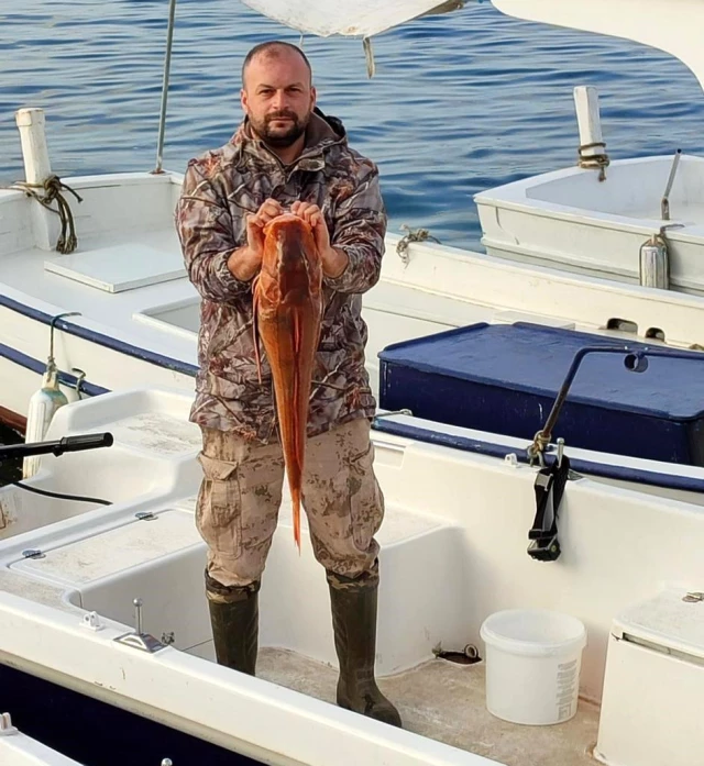 Olta ile 5 kiloluk kırlangıç balığı yakalandı