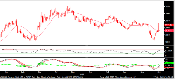 Fx analizi