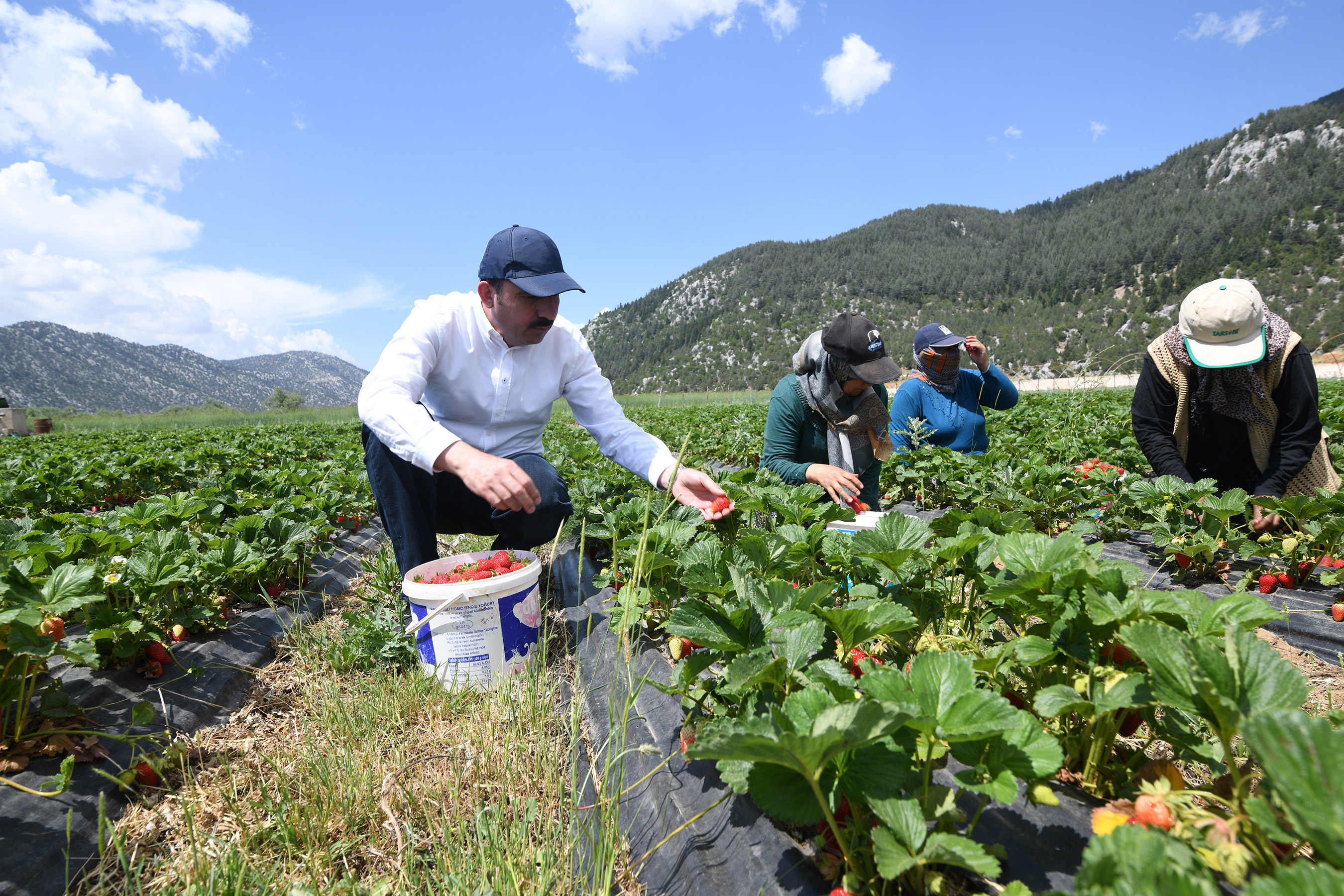 Konya’da tarıma 461 milyon TL destek sağlandı