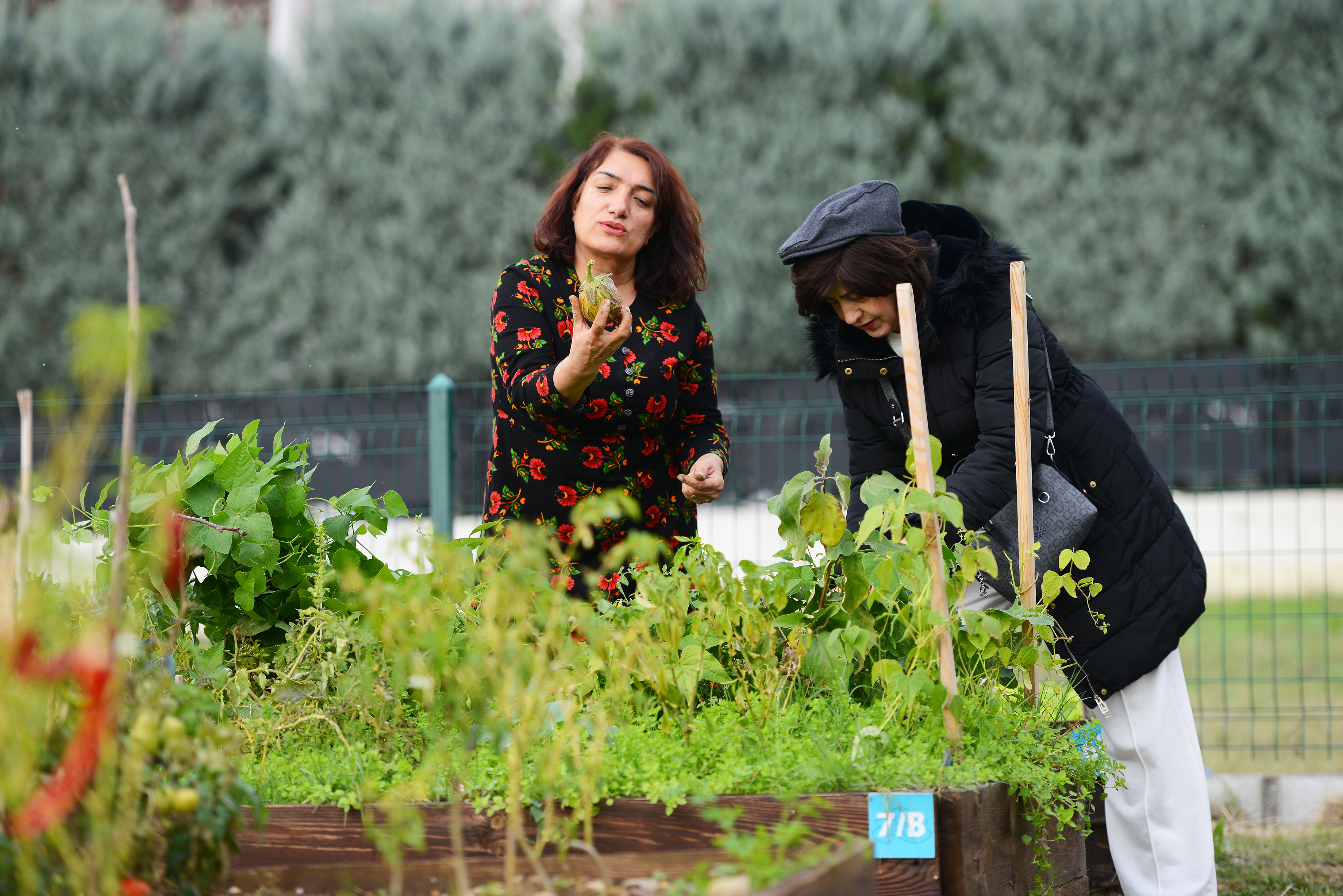 Tarımda ‘mahalle’ seferberliği