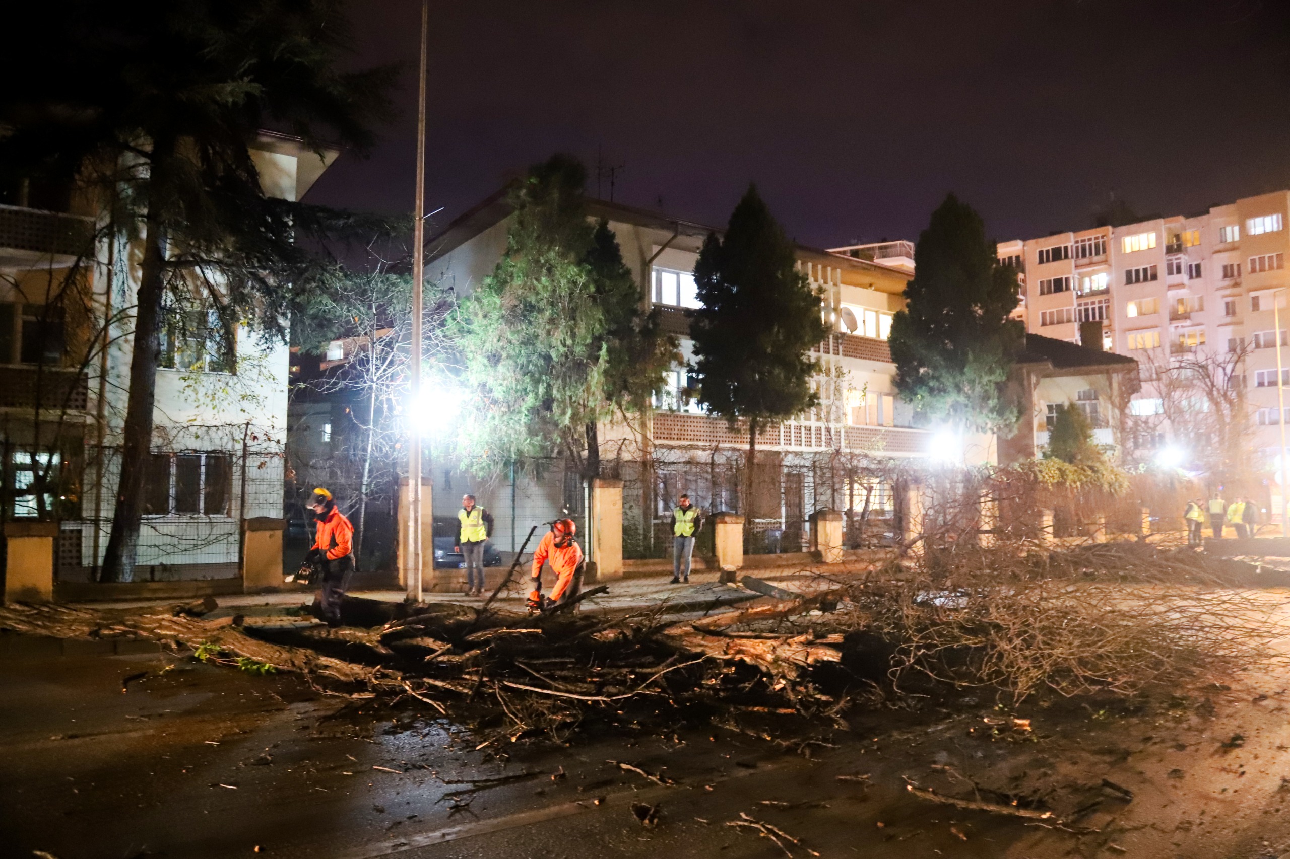 Eskişehir’de devrilme riski taşıyan ağaçları kaldırma çalışmaları başladı