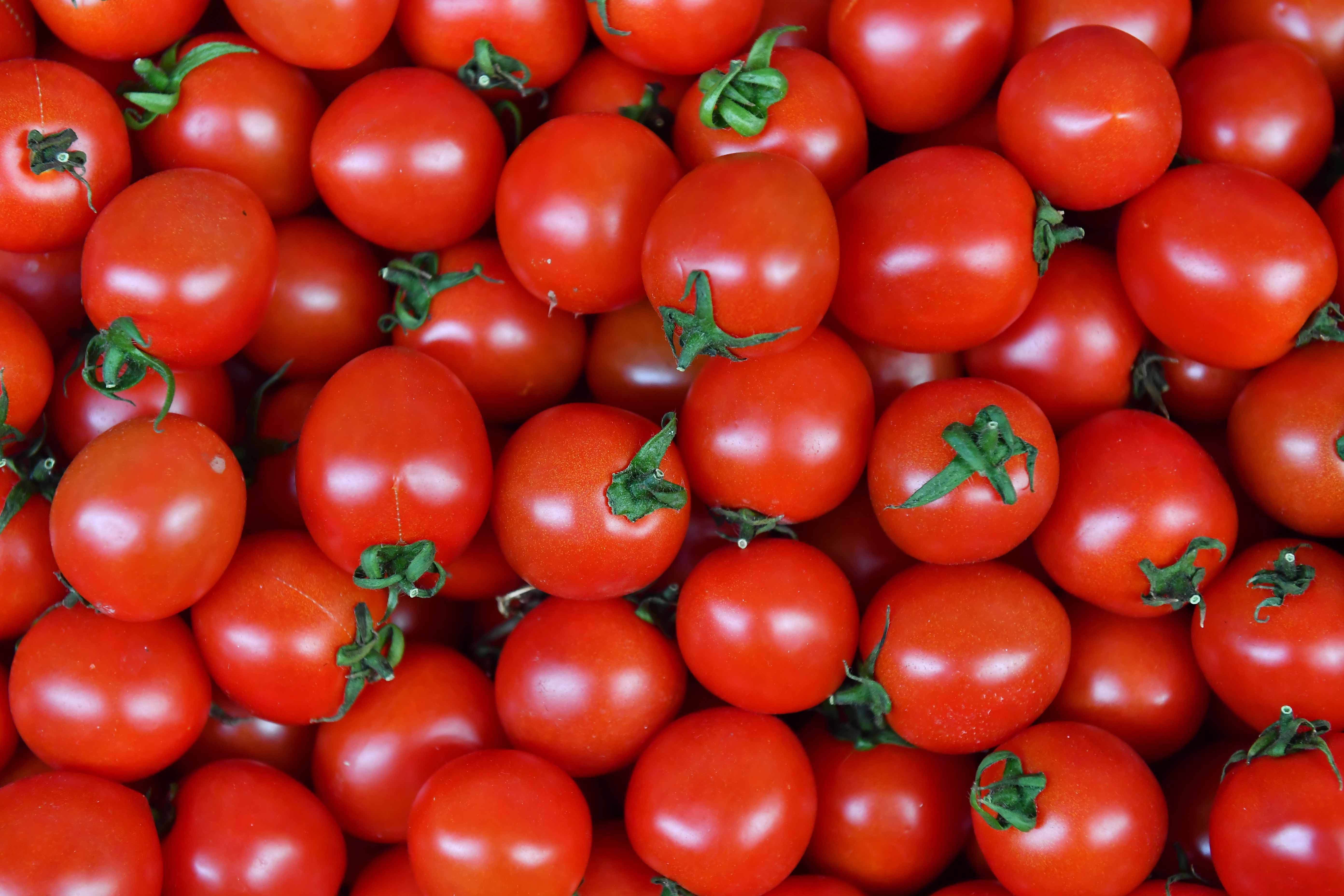 Ankaralılar 2023’te en çok domates ve karpuz tüketti