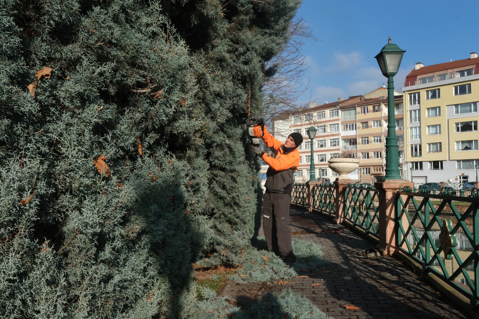 Eskişehir Büyükşehir Belediyesi’nden ağaçlara kış bakımı