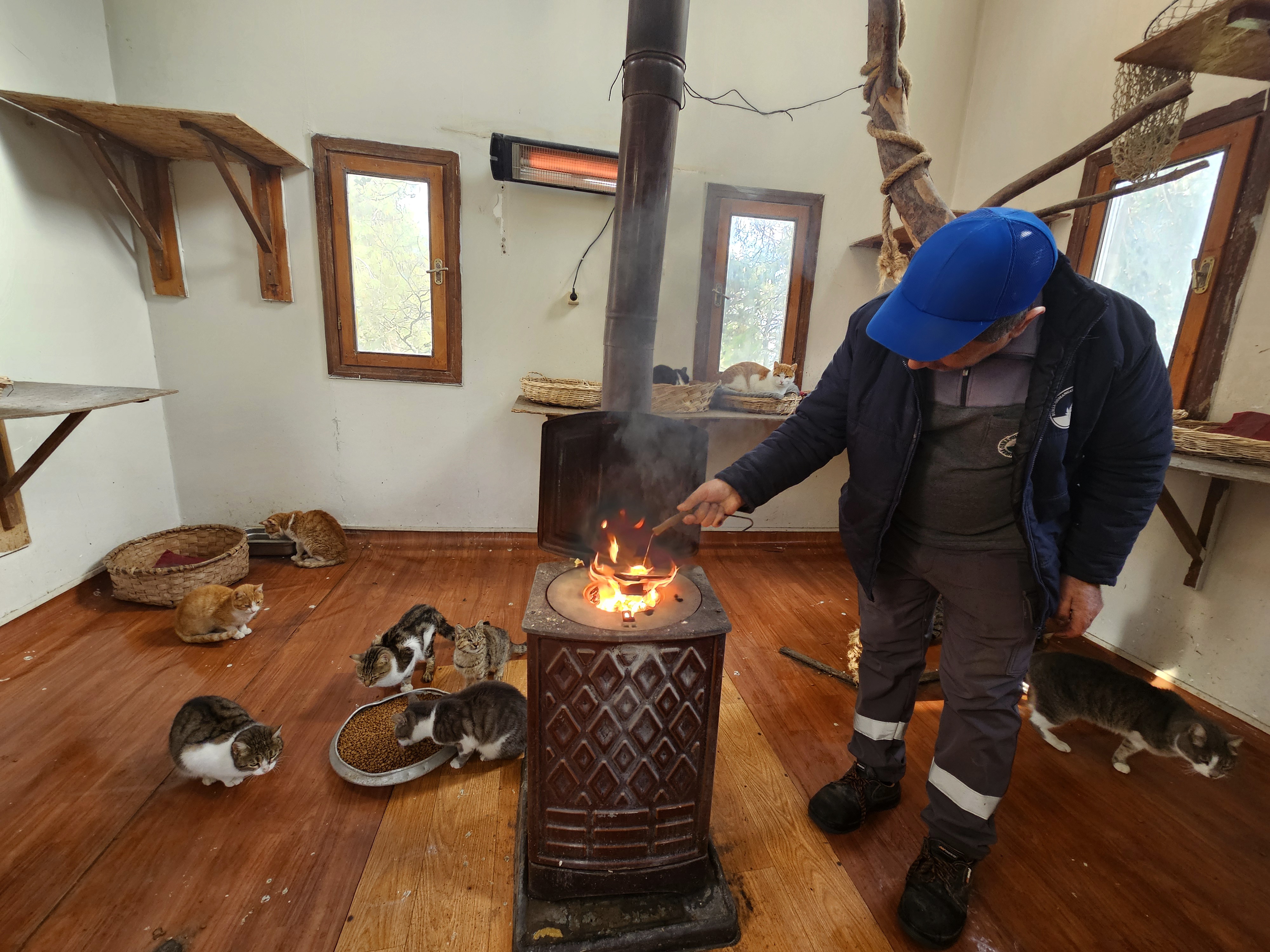 Osmangazi’de sobalar engelli kediler için yandı