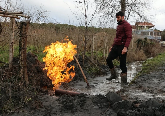 Samsun’da fındık ve çeltik tarlalarında yapılan sondajda yanıcı gaz çıktı