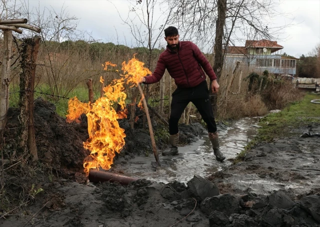 Samsun’da fındık ve çeltik tarlalarında yapılan sondajda yanıcı gaz çıktı