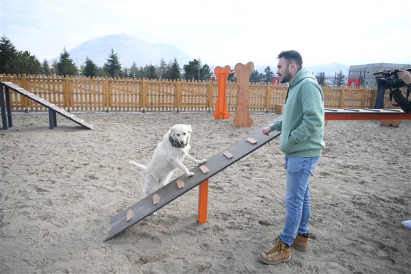 Kayseri Büyükşehir’in Köpek Eğitim Parkuru hizmet vermeye başlıyor