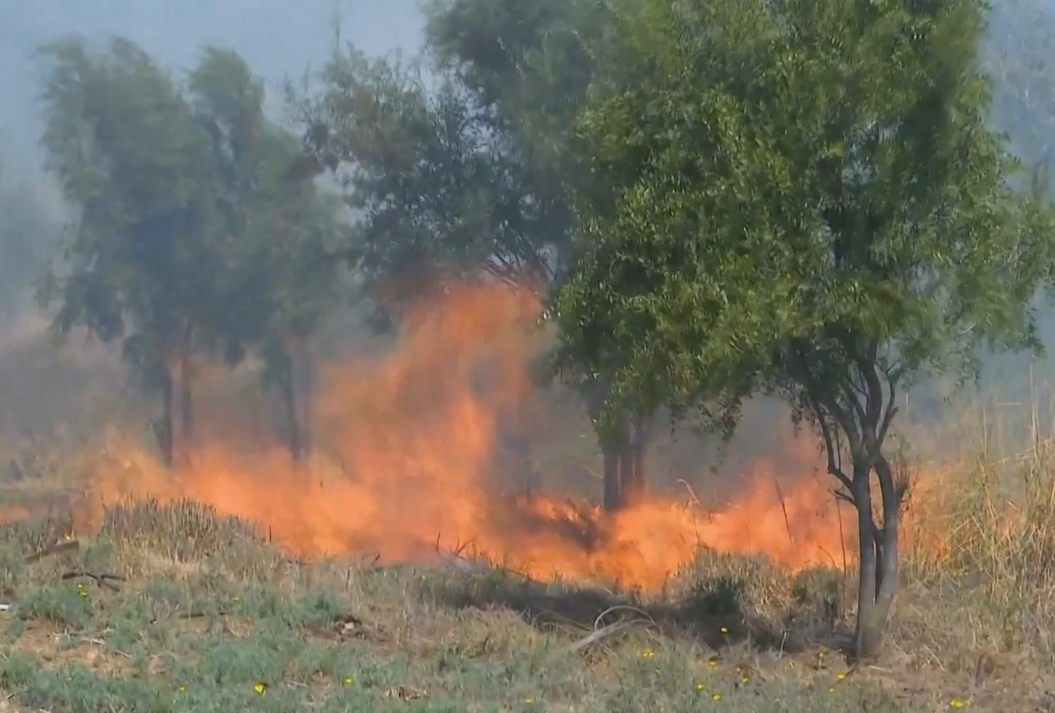 Şili’deki orman yangınları 40 binden fazla kişiyi etkiledi