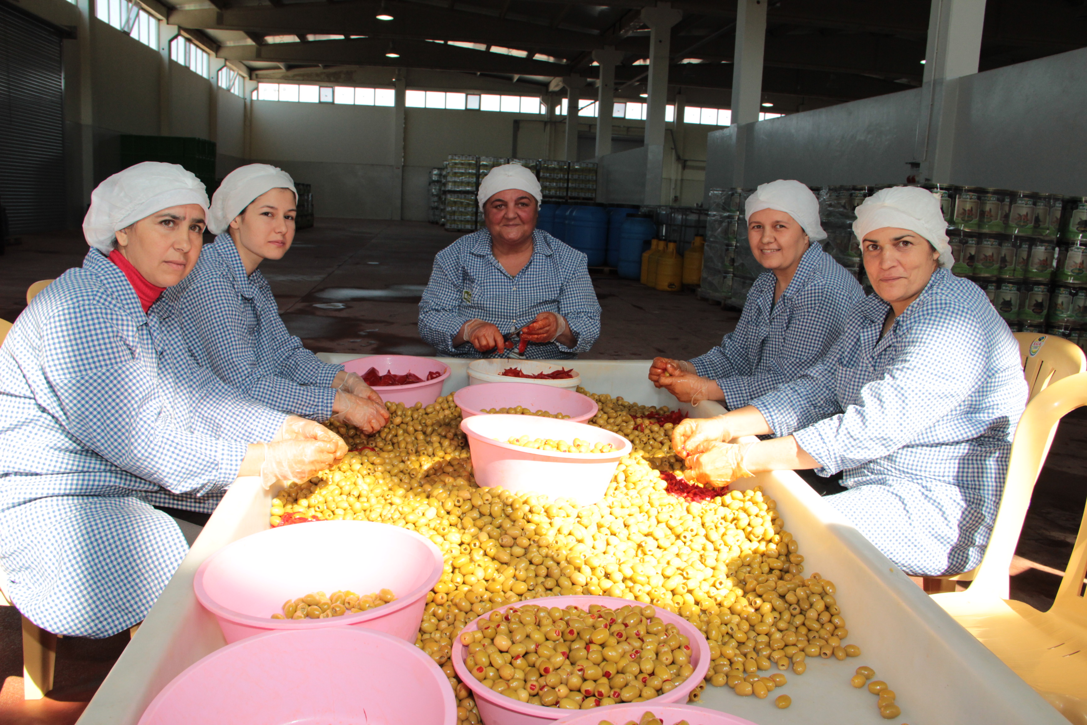 4 aylık sofralık zeytin ihracatı 74 milyon dolara ulaştı