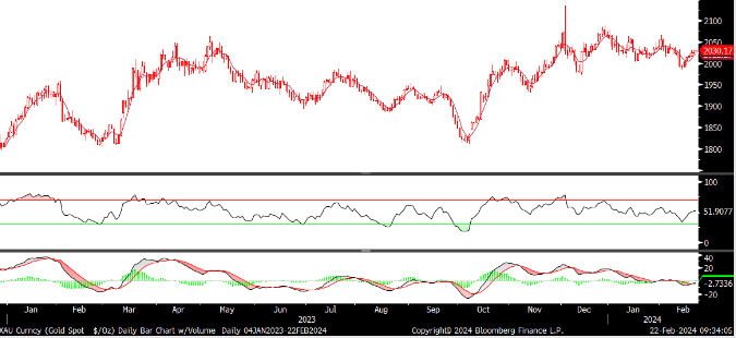 FX analizi