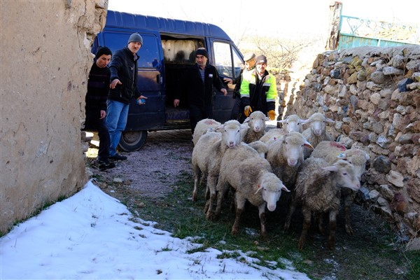 Eskişehir Büyükşehir Belediyesi’nden küçükbaş hayvan desteği