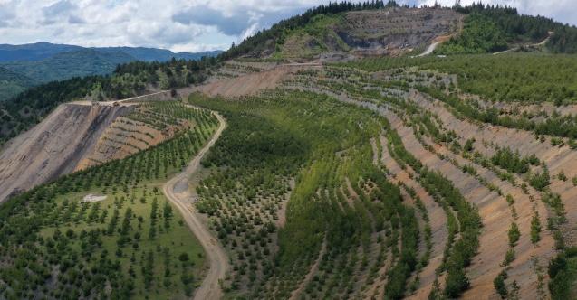 İTÜ Rektör Yardımcısı Kumral, Erzincan’daki maden kazasıyla ilgili değerlendirmelerde bulundu