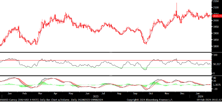 FX analizi