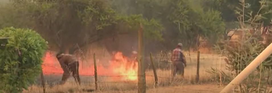 Orman yangınları Şili’yi felç etti: 70’den fazla ölü