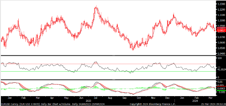 FX analizi