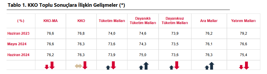 TCMB – İmalat sanayi kapasite kullanım oranı Haziran’da yüzde 76,2’ye geriledi