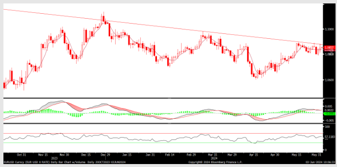 FX analizi