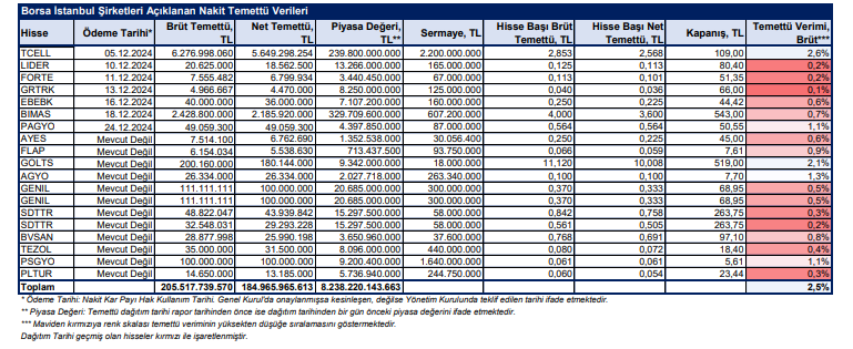 BİST şirketleri nakit temettü dağıtım tarihleri