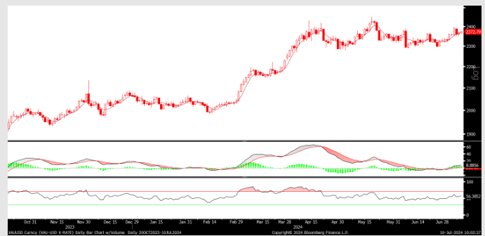 FX analizi