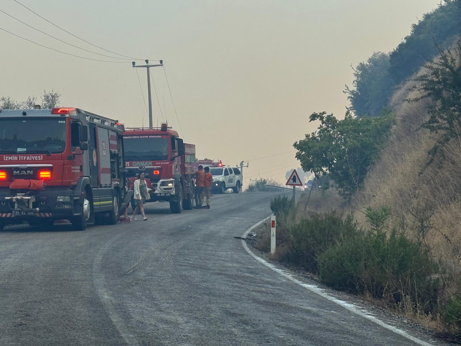 İzmir İtfaiyesi, Dikili’de orman yangınına müdahale ediyor