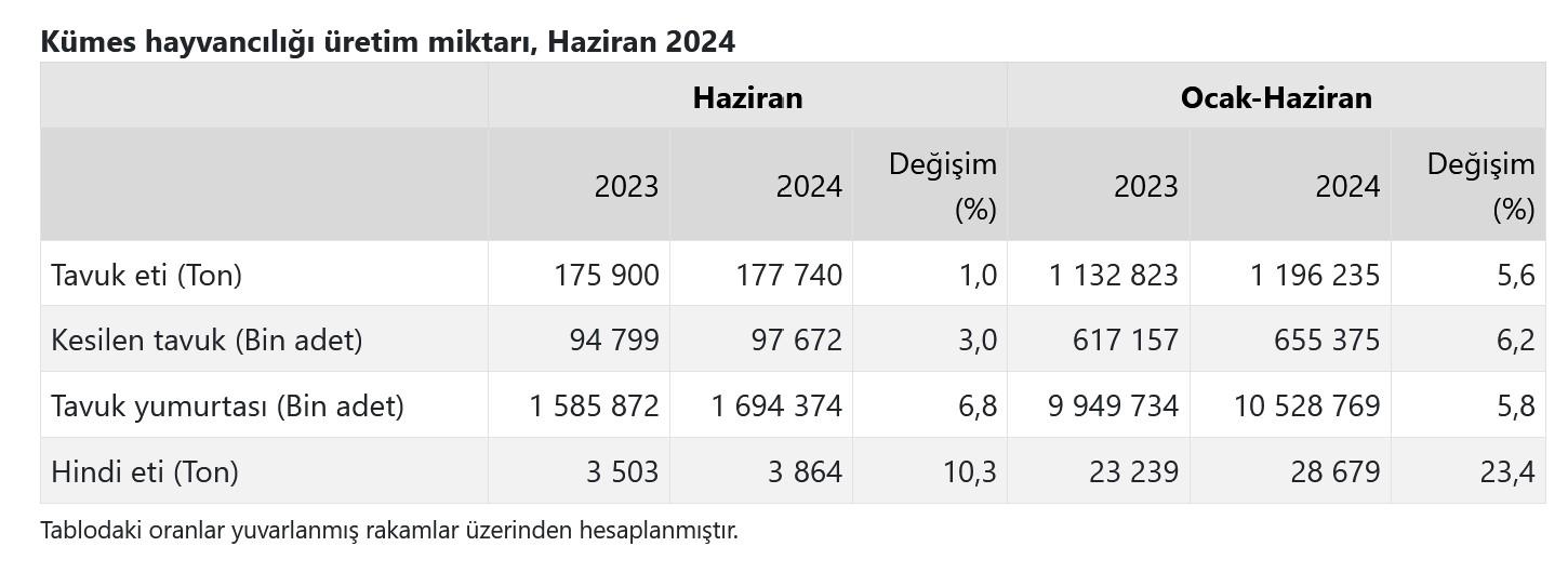 TÜİK-Tavuk yumurtası üretimi Haziran’da yıllık yüzde yüzde 6,8 arttı