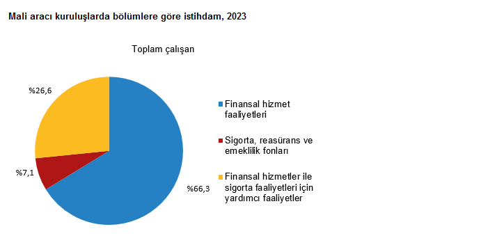 TÜİK- Mali aracı kuruluşlar sektöründe 2023 yılında 20 bin 110 girişim faaliyet gösterdi