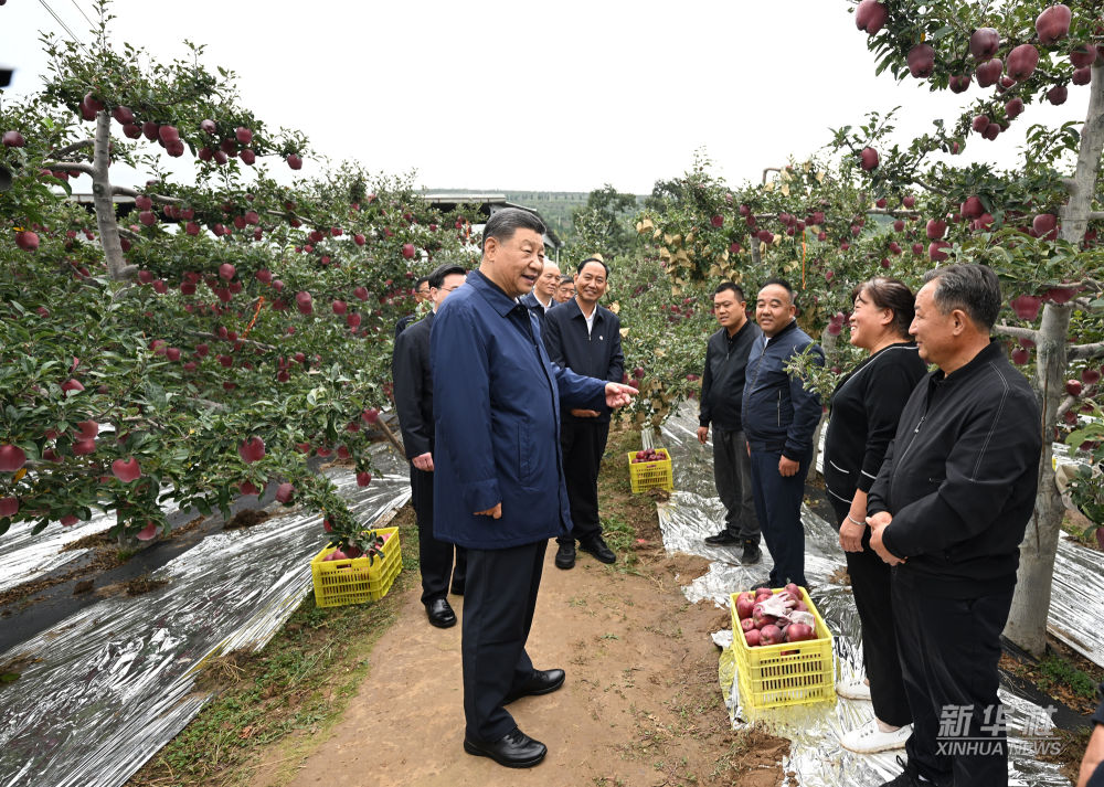 Xi, Sha’anxi ve Guansu’da incelemelerde bulundu