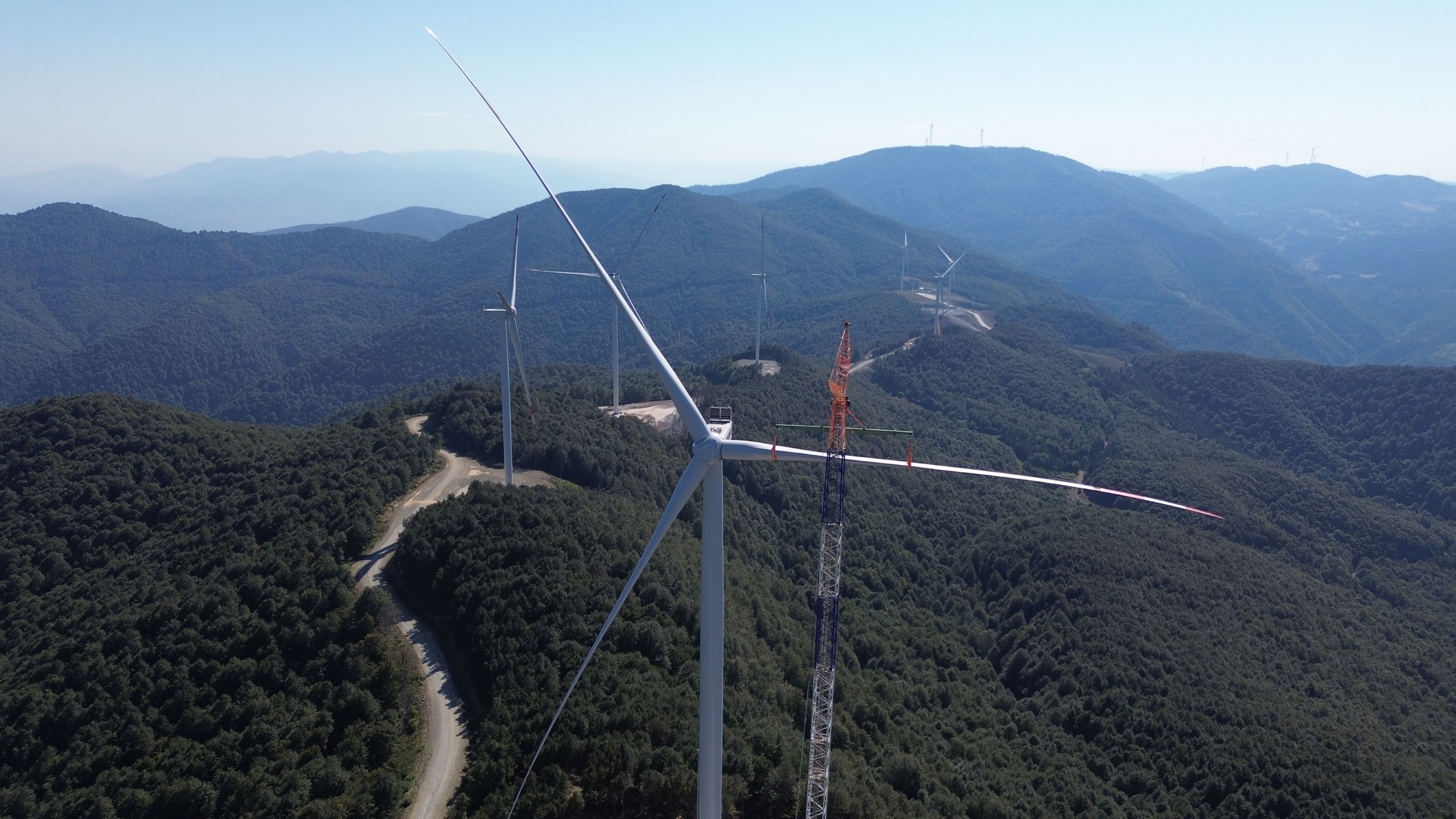 Eksim Enerji temiz enerji yatırımlarında yaban hayatını koruyor