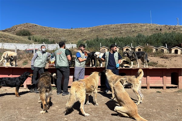 Hayvan Dostu Eczaneler Projesi ile mama kapları sevgiyle doluyor