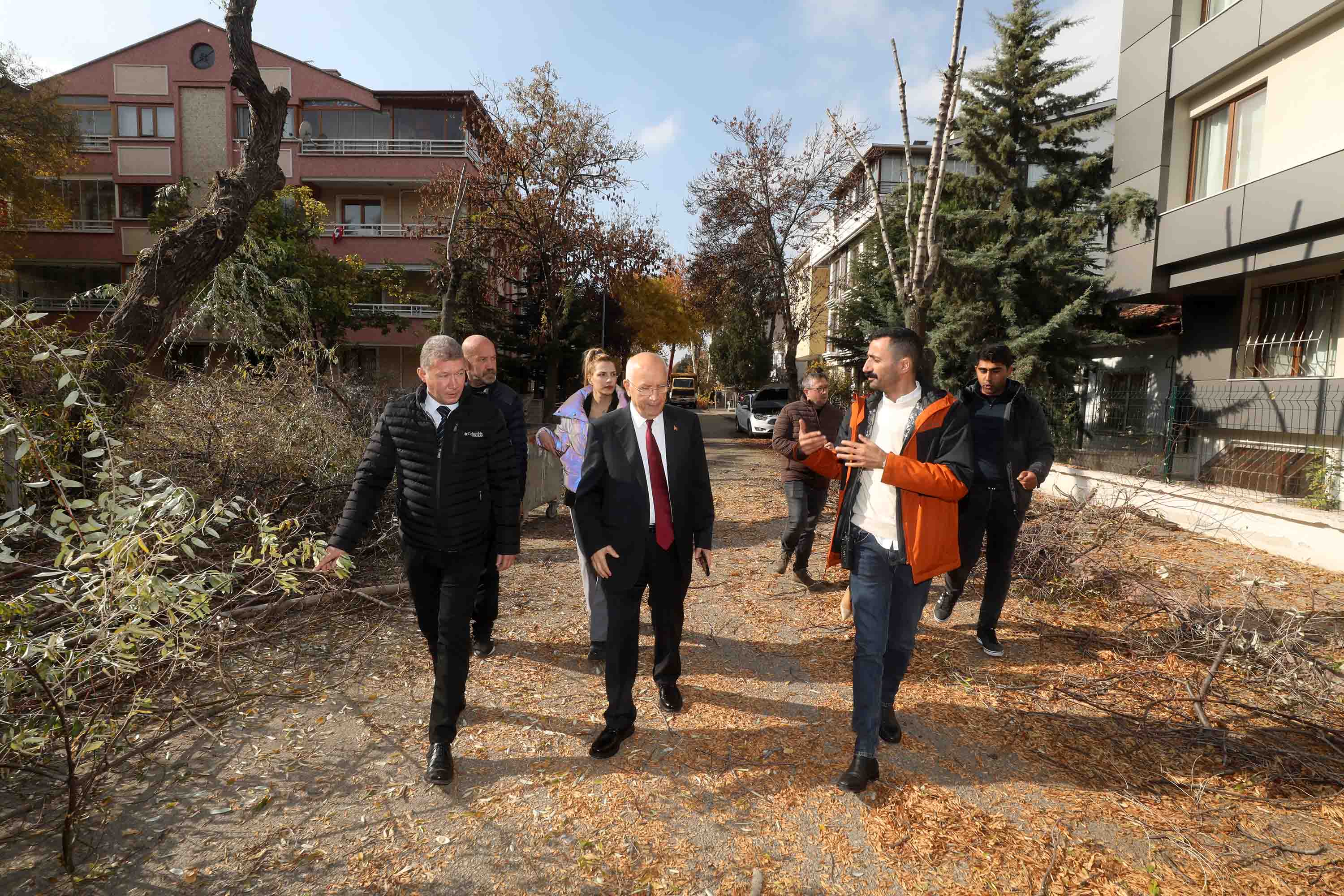 Yenimahalle’de budanan ağaçlar yakıta dönüşüyor