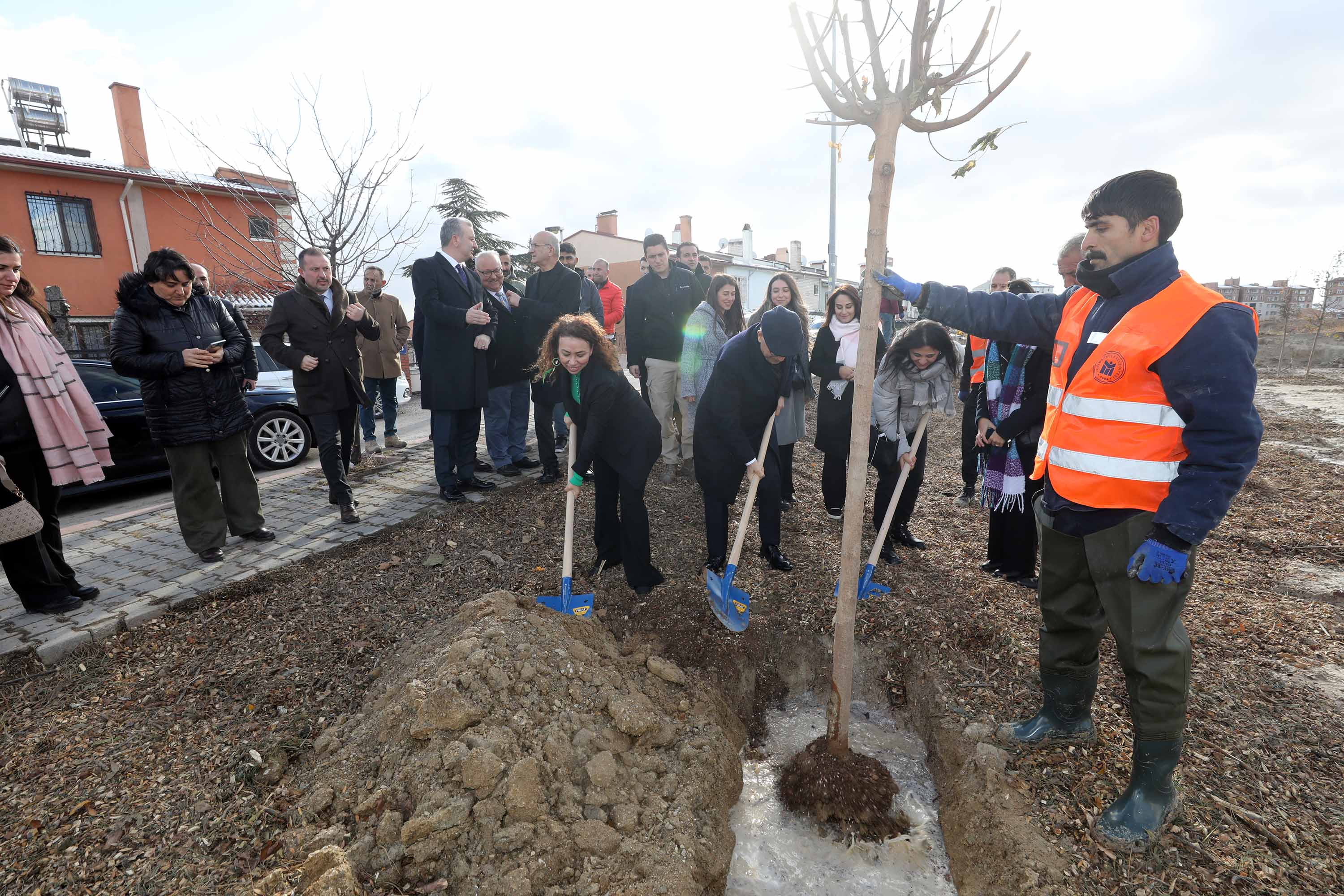 Yenimahalle’den öğretmenler için ağaçlandırma alanı