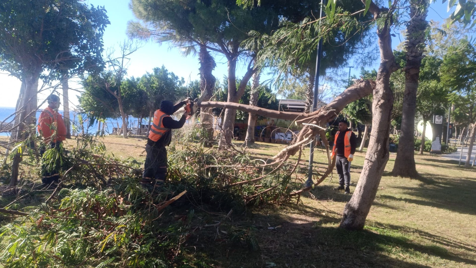 Antalya Büyükşehir, fırtına sonrasında meydana gelen olaylara müdahale ediyor