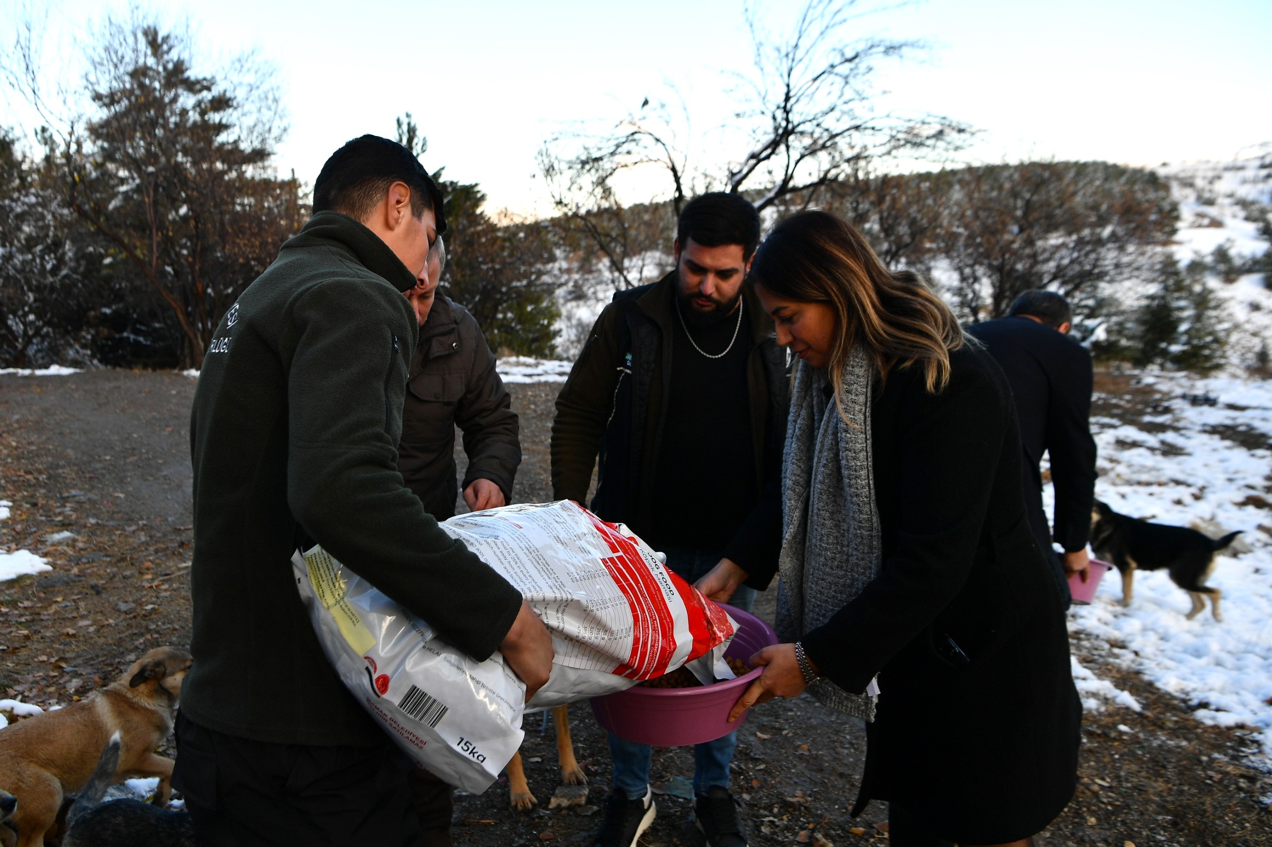 Başkan Yardımcısı Emre, sokak hayvanlarını besleme çalışmalarına katıldı