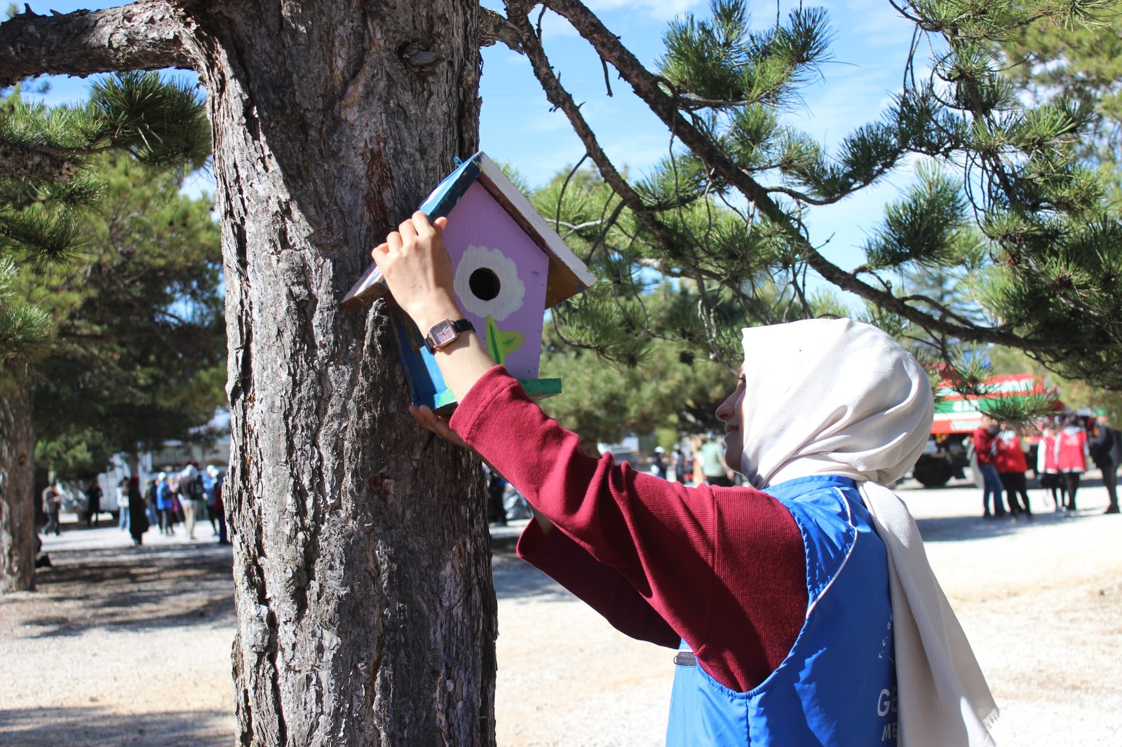 Karaman Gençlik Merkezi, kuş evleri hazırladı