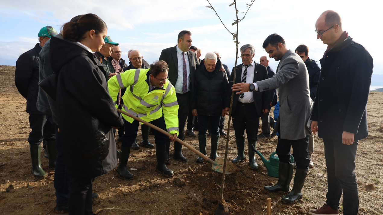 Büyükşehirden şehit Aybüke öğretmen anısına hatıra ormanı