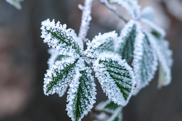 MGM: Hafta ortasından itibaren kuzey ve batıda hava sıcaklıkları düşecek