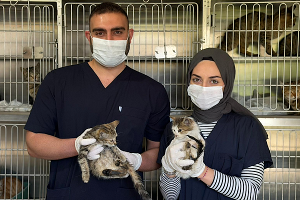 Karabük’te sahipsiz hayvanlar için kış hazırlıkları tamamlandı