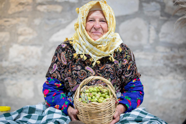 Uluslararası Zeytin ve Sanat Festivali başladı