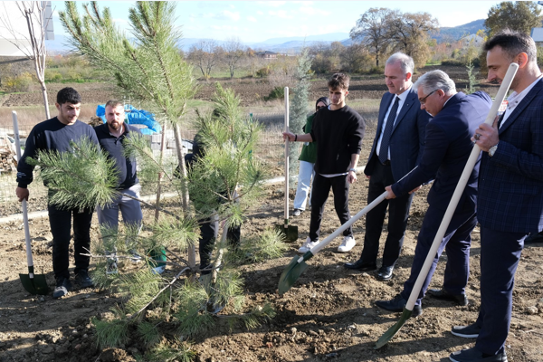 İnegöllü gençler, Yeniceköy’de fidan dikti